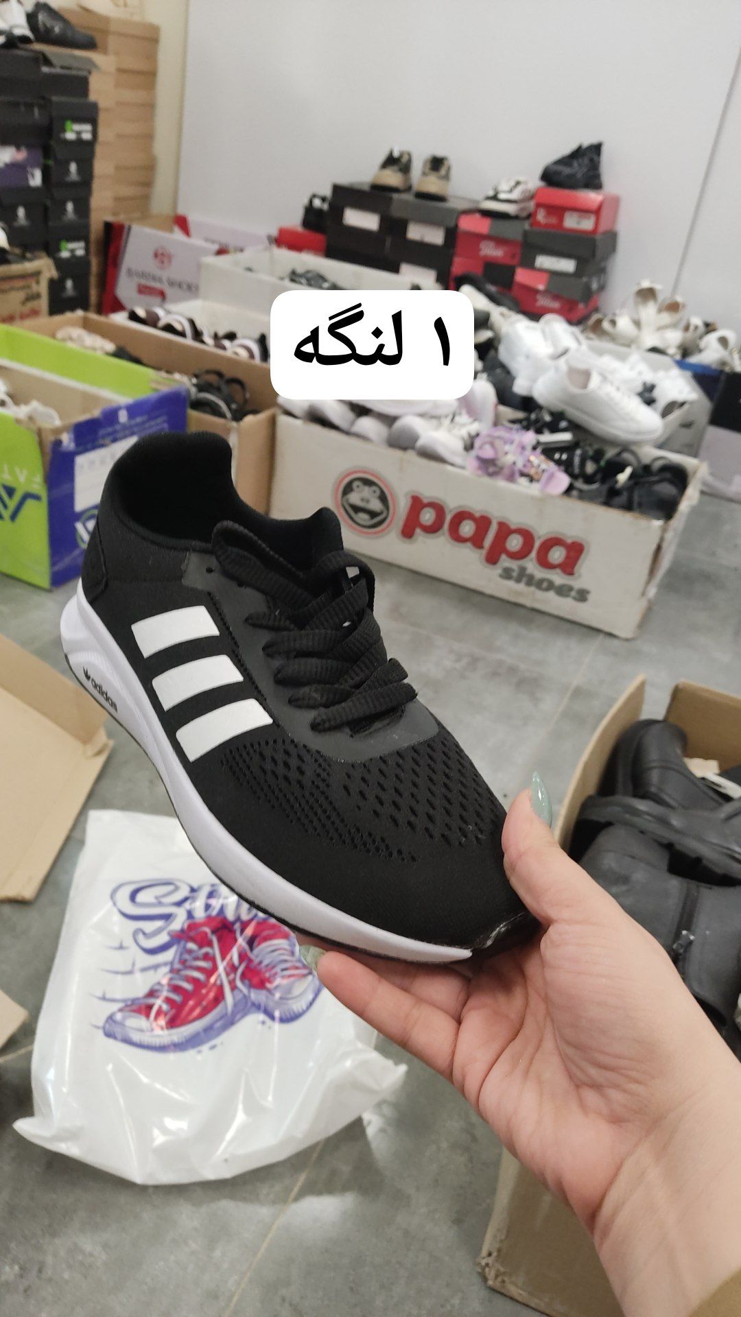 کفش ساساری 600519